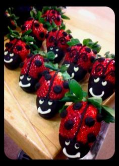 Lady bugs