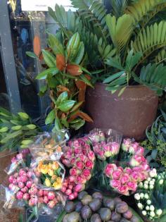 The Boathouse Palm Beach, Palm Beach, NSW, 2108 - TrueLocal