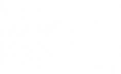 The Slanted Door / Modern Vietnamese Cooking