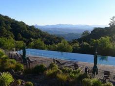 What Makes Australia's Gold Coast Golden? - The Gold Coast’s real allure lies in its pristine tropical rainforest, where bright crimson rosella birds fly and alien-like booyang trees grow.