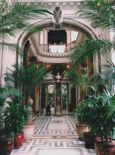 The Musée Jacquemart-André in Paris / photo by Hannah Wilson
