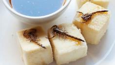 Scorpions on the menu in Sydney! Roasted scorpion with deep fried silken tofu.