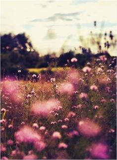 I don't even know where this is... but I want to be there.