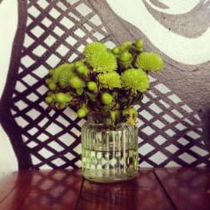 Moody Chef, St Leonards, NSW, 2065 - TrueLocal