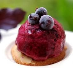 Blackcurrant Sorbet Recipe