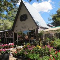 The House of Herbs and Roses