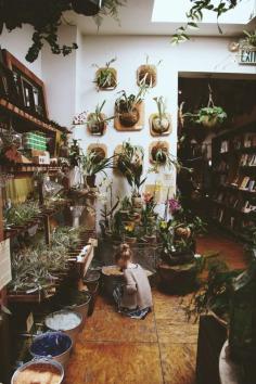 Paxton Gate in San Francisco / photo by Tara