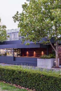 Melbourne / Top Paddock : bar, restaurant / | ATELIER RUE VERTE le blog