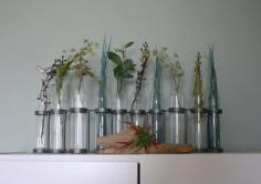 Jamie's Wild Blue Yonder