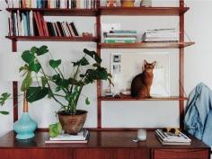 Just for Fun: Purrrfect Pets