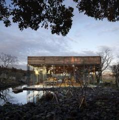 Innisfree Café, Jeju Island, South Korea