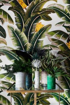 haymes colour forecast 2015..