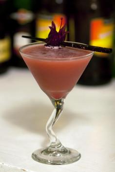 Adam and Eve Cocktail Recipe