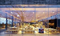 Innisfree Café, Jeju Island, South Korea