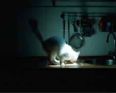 Untitled, Salva López