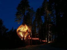 Yellow Treehouse, New Zealand