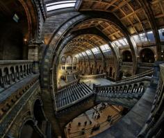 Natural History Museum