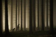 Walking in the Deep Forest