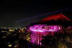 Pink Ribbon Day 2014 @ Kiyomizudera, Kyoto, Japan