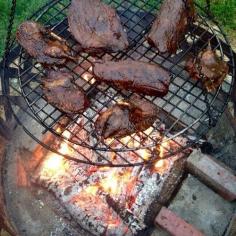 Venison; Wood Duck barbecuing, at sunset with Little Soya and The Reverend Fowl.