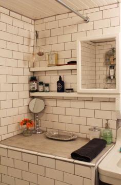 Radical Renters: When Renters Make Big Changes