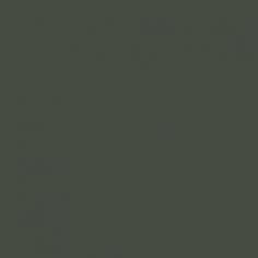 Ripe Olive SW 6209 by Sherwin-Williams.