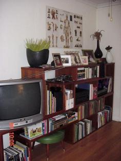 Guest Post: House Tour:  Amy’s Retro Ravenswood Apartment