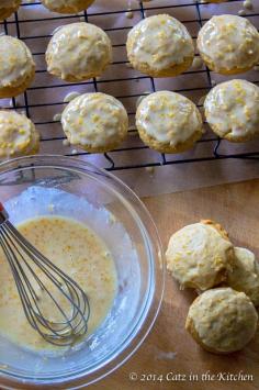 
                        
                            Glazed Pumpkin Orange Cookies
                        
                    