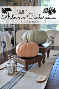
                        
                            Simple Autumn Centerpiece
                        
                    
