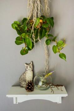 Lisa's Pint-Size Storybook Nook