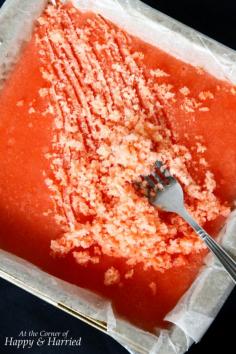 Watermelon Milkshake Granita