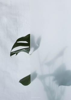 botanic by kristina dam..