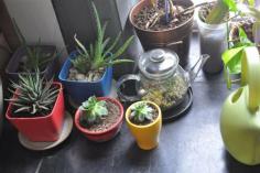 
                        
                            Mememolly & Mike's Flea Market-Style Funhouse in Brooklyn
                        
                    