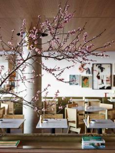 Bills Restaurant at Bondi Beach by Meacham Nockles McQualter | www.yellowtrace.c...