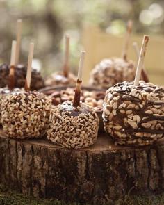 Chocolate Dipped Apples