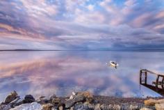 
                        
                            Port Lincoln, Australia
                        
                    