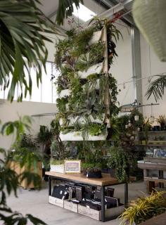 The Best of Vertical Gardening: Inspiration, DIY, & Resources