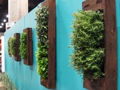 The Best of Vertical Gardening: Inspiration, DIY, & Resources