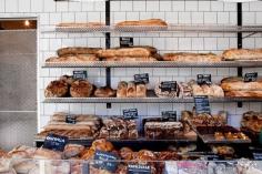 
                    
                        Cultivate Modesty : Photo
                    
                