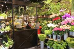 
                    
                        Aoyama Flower Market TEA HOUSE
                    
                