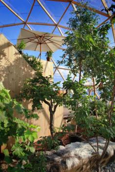 
                    
                        Dome of Visions by Kristoffer Tejlgaard & Benny Jepsen // Copenhagen, Denmark | www.yellowtrace.c...
                    
                