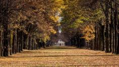 
                    
                        Herbst in Oberschleißheim
                    
                