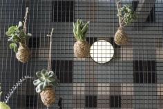 
                    
                        patch cafe, melbourne
                    
                