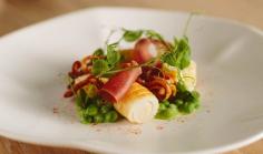 
                    
                        10 HATTED SYDNEY RESTAURANTS YOU NEED TO TRY THIS SUMMER
                    
                