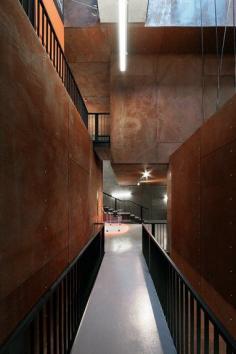 
                        
                            Volcano Visitors  by Foldes & Co.
                        
                    