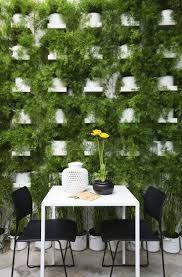
                    
                        climbing plants wall indoor - Google Search
                    
                