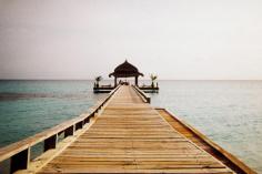 Download  /  By May Pamintuan