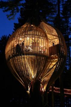 
                    
                        The Yellow Treehouse Restaurant  me encanta!!  www.pacificenviro...
                    
                