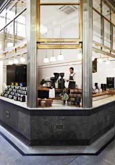 
                    
                        SarahTrotter-MLC QVM 04
                    
                