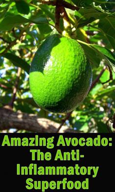 
                    
                        Avocados are an amazing superfood with a rich flavor and an impressive list of health benefits. Here’s why avocado is healthy and some seriously good reasons to get more of them into your diet superfoodprofiles...
                    
                